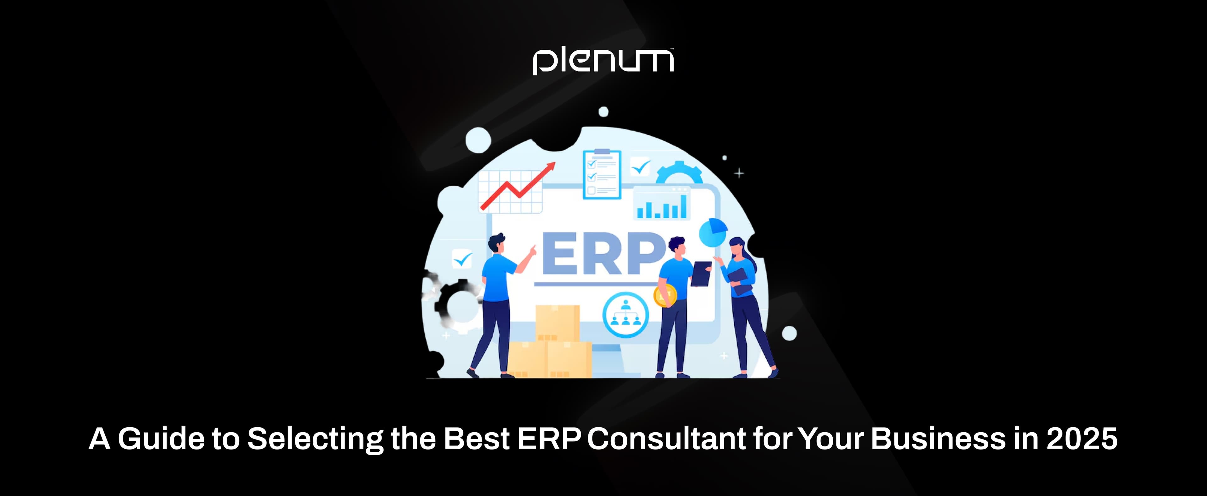 Guide to Select the Best ERP Consultant for Your Business in 2025